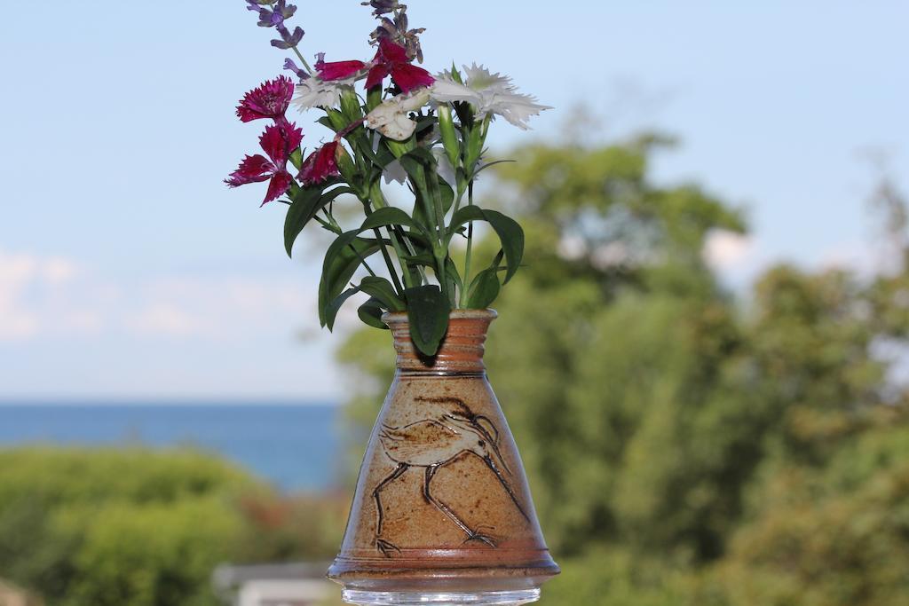Hotel Zum Strandlaufer Ahrenshoop Kamer foto