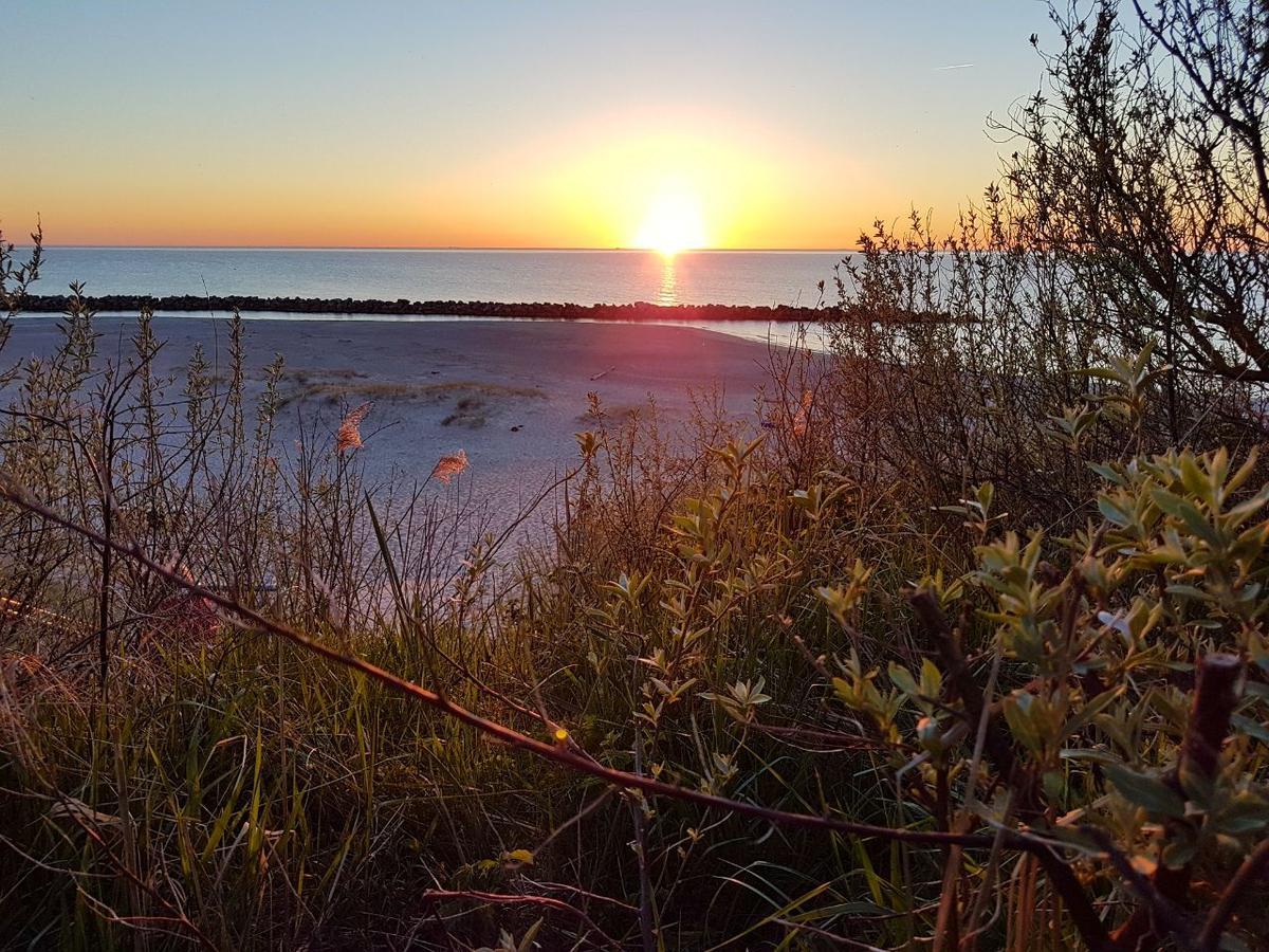 Hotel Zum Strandlaufer Ahrenshoop Buitenkant foto